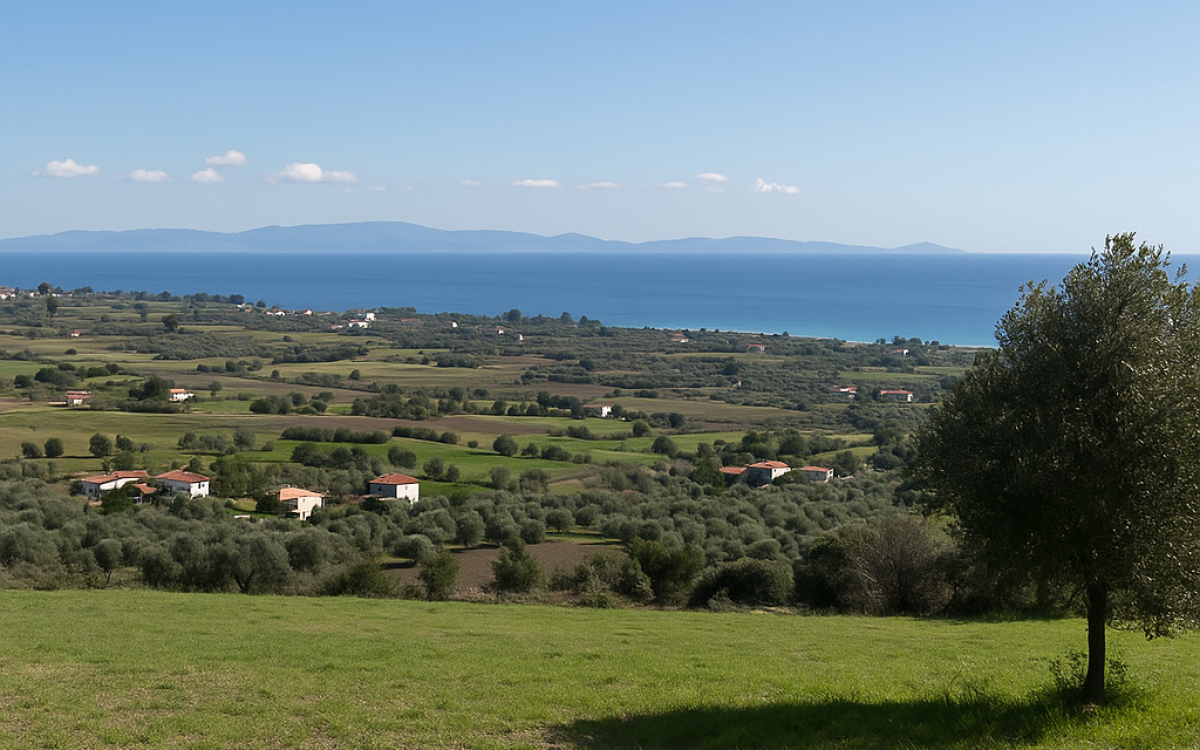 AVANTAJ GRUP DİKİLİ ARSALARI