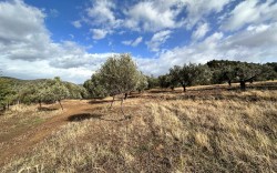 KUYU ALAN VİLLALARI