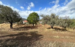 KUYU ALAN VİLLALARI