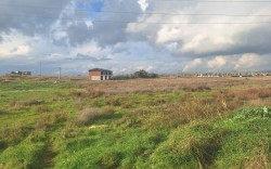 AVANTAJ GRUP DİKİLİ ARSALARI