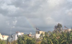 AVANTAJ GRUP DİKİLİ ARSALARI