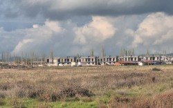 AVANTAJ GRUP DİKİLİ ARSALARI