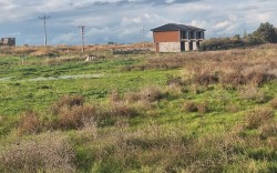 AVANTAJ GRUP DİKİLİ ARSALARI