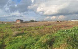 AVANTAJ GRUP DİKİLİ ARSALARI