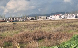 AVANTAJ GRUP DİKİLİ ARSALARI