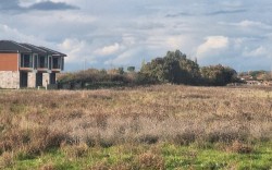 AVANTAJ GRUP DİKİLİ ARSALARI